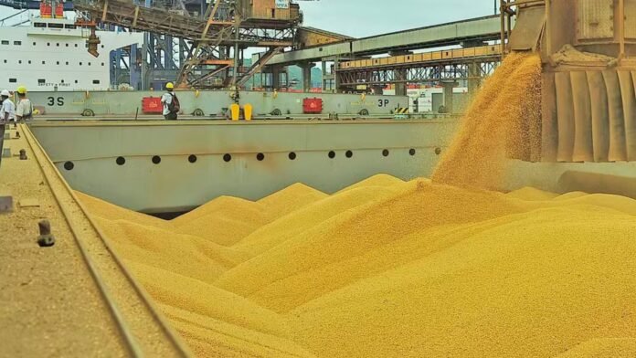 Preço da soja no Paraná atinge maior nível desde 2023