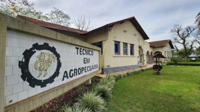 Cooperativas-escola avançam em 22 colégios do Paraná