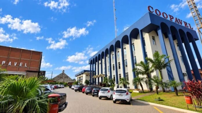 6 cooperativas do Oeste estão entre as 500 maiores do Brasil