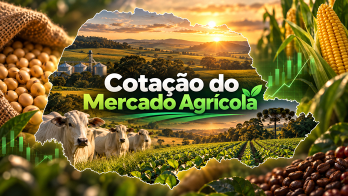 Cotação do mercado agrícola no Paraná em 15 de setembro de 2026