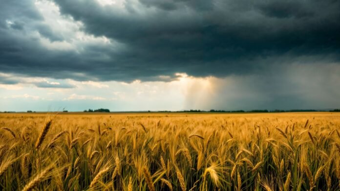 El Niño traz risco de excesso de chuva no Para