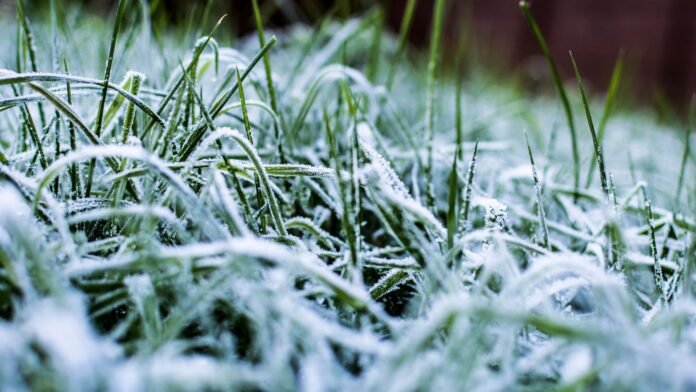 Frio avança no Paraná e traz risco de geada nesta semana