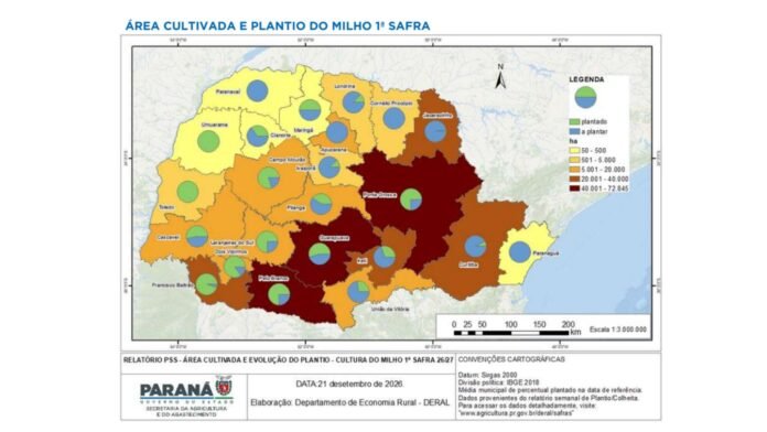 Soja chega a 15% plantada no Paraná e milho avança a 56%