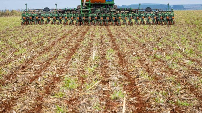 Plantio da soja avança no Paraná e deve acelerar após dia 20