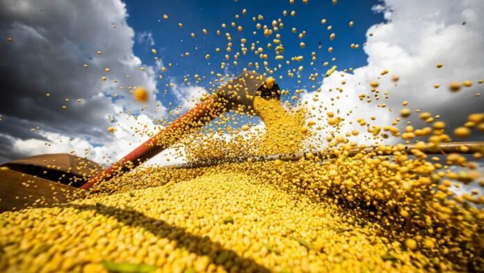 Paraná é o 4º maior produtor agrícola do Brasil